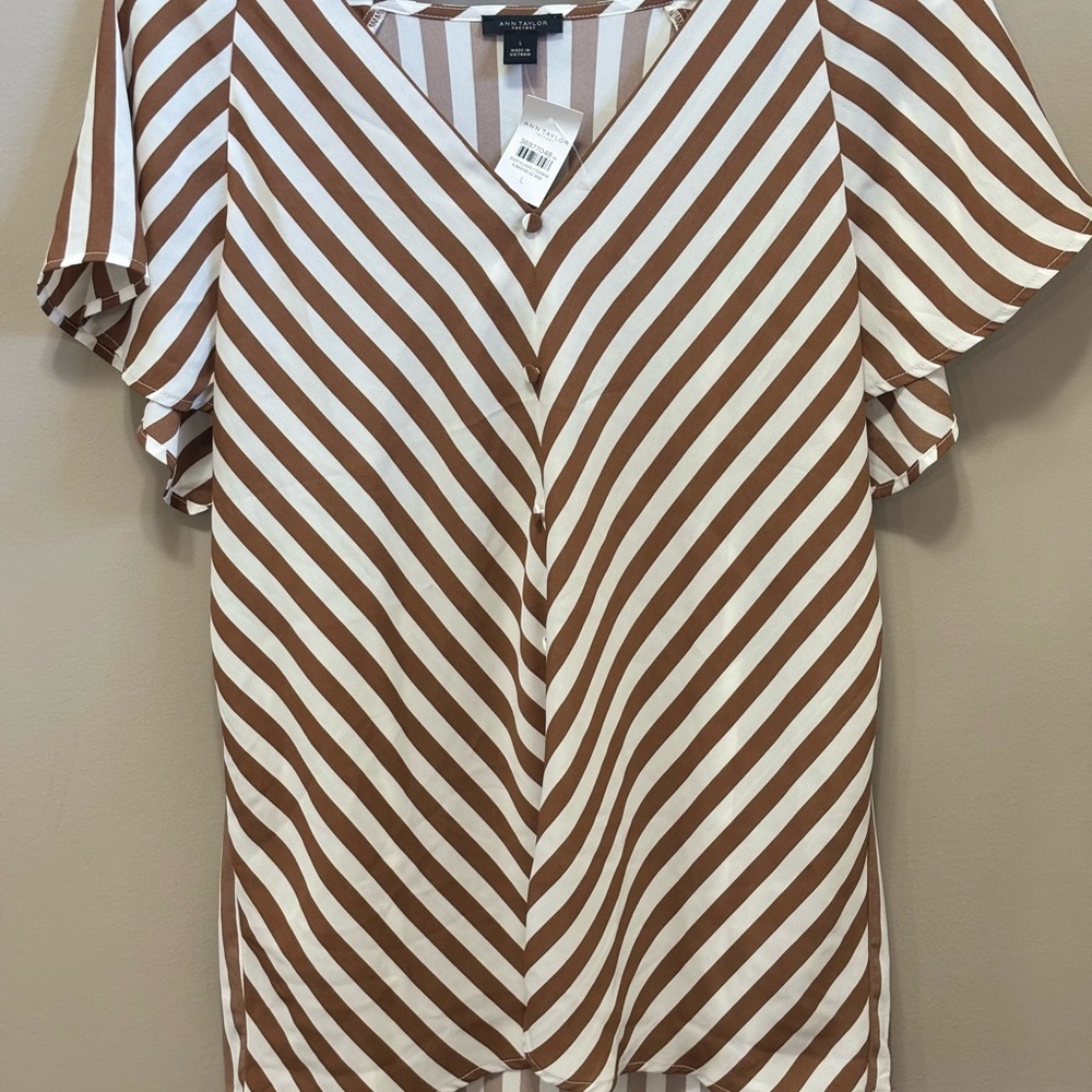 Ann Taylor Striped Brown and White V-Neck Women’s Top Sz L